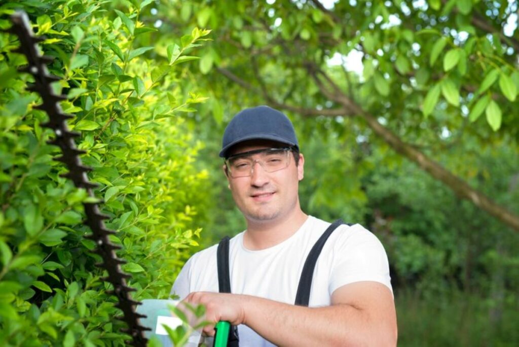 Tree pruning