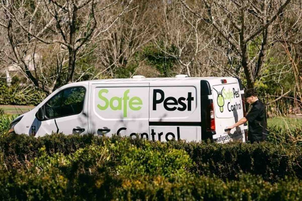 pest control services